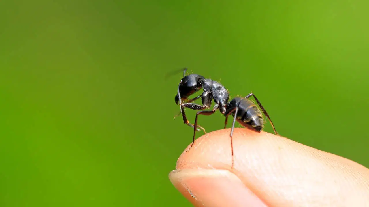 haber-gorseli-1787651932984